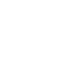100pct icon white